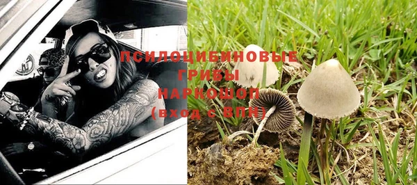 соль курить ск Михайловск