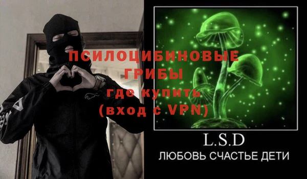 МДПВ Весьегонск