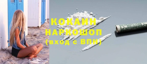 первитин Михайлов
