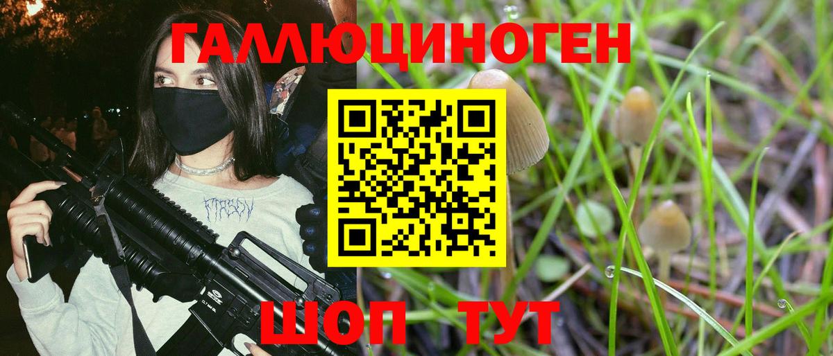 Галлюциногенные грибы прущие грибы Кингисепп