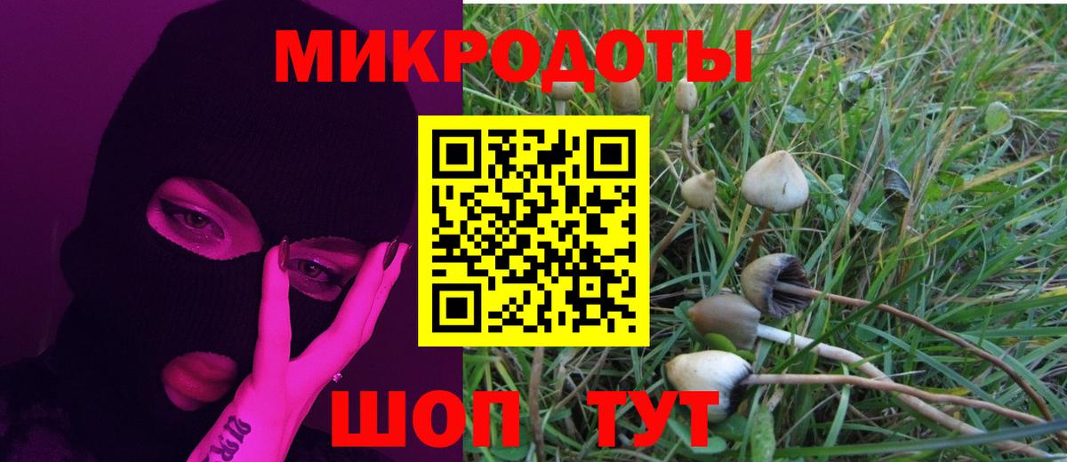 Галлюциногенные грибы ЛСД  Вход с VPN  Кингисепп 